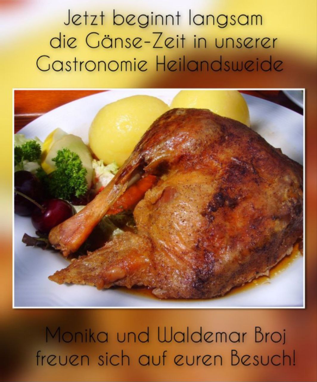 Gänsebild